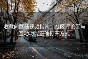 收藏向蘑菇视频指南：社区评论区与互动功能正确打开方式