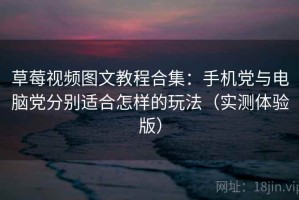 草莓视频图文教程合集：手机党与电脑党分别适合怎样的玩法（实测体验版）
