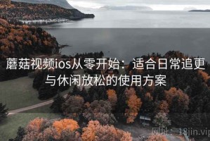 蘑菇视频ios从零开始：适合日常追更与休闲放松的使用方案