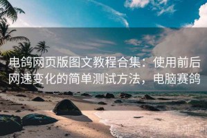 电鸽网页版图文教程合集：使用前后网速变化的简单测试方法，电脑赛鸽