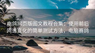 电鸽网页版图文教程合集：使用前后网速变化的简单测试方法，电脑赛鸽