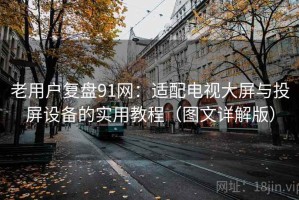 老用户复盘91网：适配电视大屏与投屏设备的实用教程（图文详解版）
