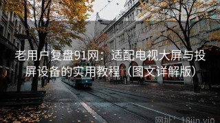 老用户复盘91网：适配电视大屏与投屏设备的实用教程（图文详解版）