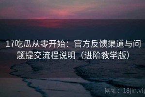 17吃瓜从零开始：官方反馈渠道与问题提交流程说明（进阶教学版）
