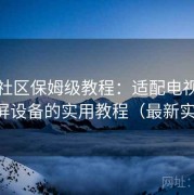 番茄社区保姆级教程：适配电视大屏与投屏设备的实用教程（最新实测版）
