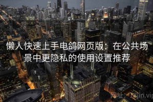 懒人快速上手电鸽网页版：在公共场景中更隐私的使用设置推荐