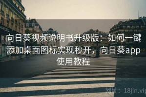 向日葵视频说明书升级版：如何一键添加桌面图标实现秒开，向日葵app使用教程
