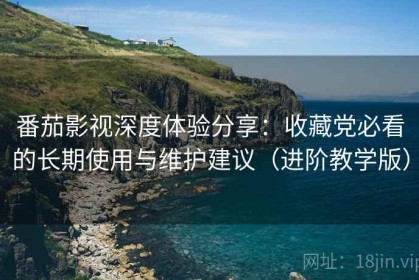 番茄影视深度体验分享：收藏党必看的长期使用与维护建议（进阶教学版）