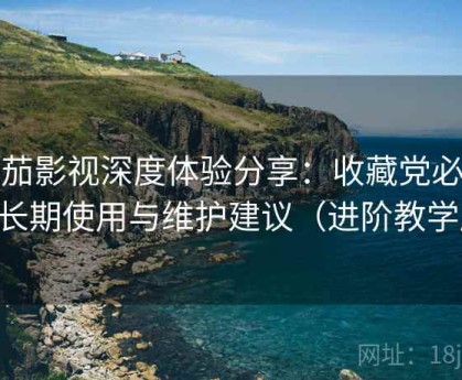 番茄影视深度体验分享：收藏党必看的长期使用与维护建议（进阶教学版）