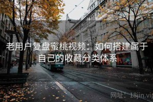 老用户复盘蜜桃视频：如何搭建属于自己的收藏分类体系