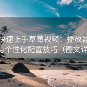 懒人快速上手草莓视频：播放器进阶设置与个性化配置技巧（图文详解版）