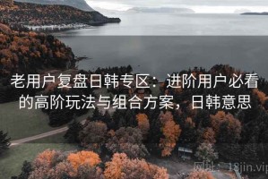 老用户复盘日韩专区：进阶用户必看的高阶玩法与组合方案，日韩意思