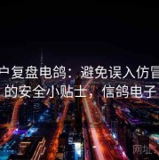 老用户复盘电鸽：避免误入仿冒站点的安全小贴士，信鸽电子