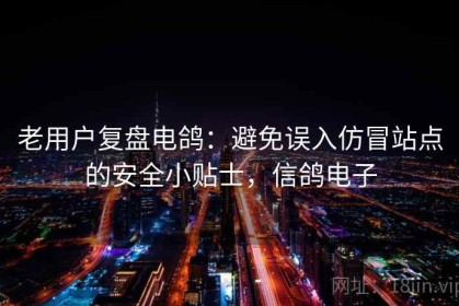 老用户复盘电鸽：避免误入仿冒站点的安全小贴士，信鸽电子