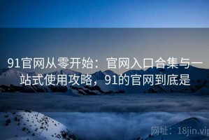 91官网从零开始：官网入口合集与一站式使用攻略，91的官网到底是