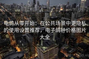 电鸽从零开始：在公共场景中更隐私的使用设置推荐，电子鸽钟价格图片大全