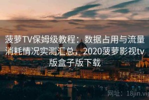 菠萝TV保姆级教程：数据占用与流量消耗情况实测汇总，2020菠萝影视tv版盒子版下载