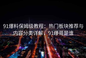 91爆料保姆级教程：热门板块推荐与内容分类详解，91爆哥是谁