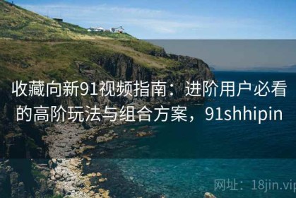 收藏向新91视频指南：进阶用户必看的高阶玩法与组合方案，91shhipin
