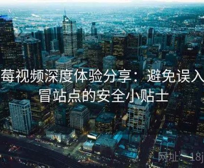 蓝莓视频深度体验分享：避免误入仿冒站点的安全小贴士