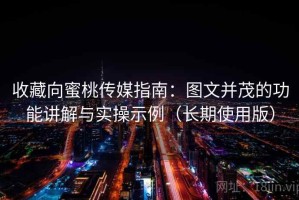 收藏向蜜桃传媒指南：图文并茂的功能讲解与实操示例（长期使用版）