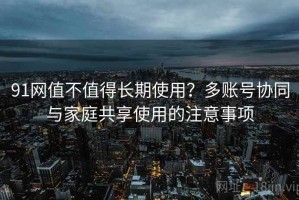 91网值不值得长期使用？多账号协同与家庭共享使用的注意事项