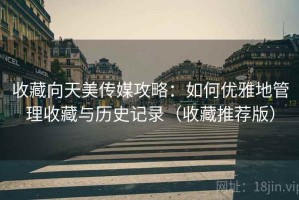 收藏向天美传媒攻略：如何优雅地管理收藏与历史记录（收藏推荐版）