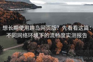 想长期使用趣岛网页版？先看看这篇：不同网络环境下的流畅度实测报告