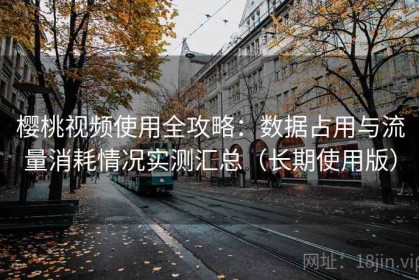 樱桃视频使用全攻略：数据占用与流量消耗情况实测汇总（长期使用版）