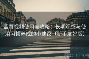 蓝莓视频使用全攻略：长期观感与使用习惯养成的小建议（新手友好版）