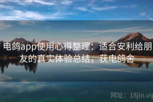 电鸽app使用心得整理：适合安利给朋友的真实体验总结，获电鸽舍