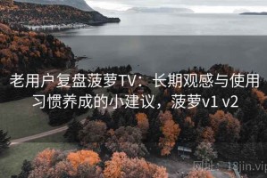 老用户复盘菠萝TV：长期观感与使用习惯养成的小建议，菠萝v1 v2