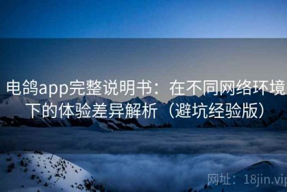 电鸽app完整说明书：在不同网络环境下的体验差异解析（避坑经验版）