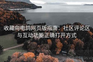 收藏向电鸽网页版指南：社区评论区与互动功能正确打开方式
