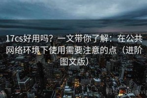 17cs好用吗？一文带你了解：在公共网络环境下使用需要注意的点（进阶图文版）