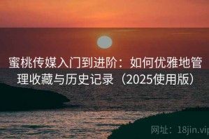 蜜桃传媒入门到进阶：如何优雅地管理收藏与历史记录（2025使用版）