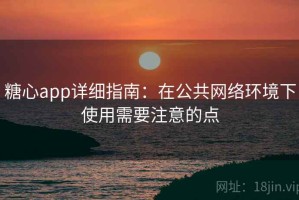 糖心app详细指南：在公共网络环境下使用需要注意的点