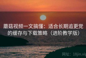 蘑菇视频一文搞懂：适合长期追更党的缓存与下载策略（进阶教学版）