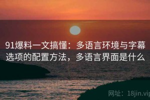 91爆料一文搞懂：多语言环境与字幕选项的配置方法，多语言界面是什么