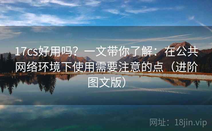 17cs好用吗？一文带你了解：在公共网络环境下使用需要注意的点（进阶图文版）