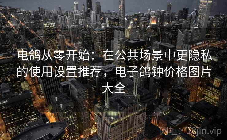 电鸽从零开始：在公共场景中更隐私的使用设置推荐，电子鸽钟价格图片大全
