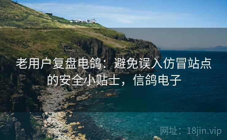 老用户复盘电鸽:避免误入仿冒站点的安全小贴士,信鸽电子 老用户复盘电鸽:避免误入仿冒站点的安全小贴士,信鸽电子