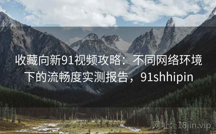 收藏向新91视频攻略：不同网络环境下的流畅度实测报告，91shhipin
