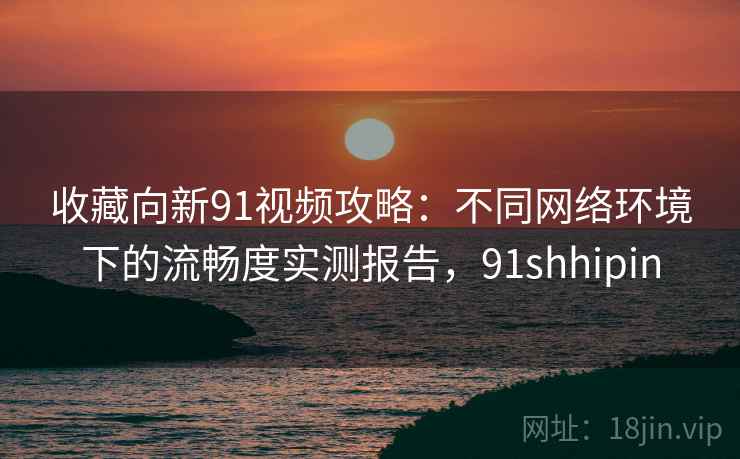 收藏向新91视频攻略：不同网络环境下的流畅度实测报告，91shhipin