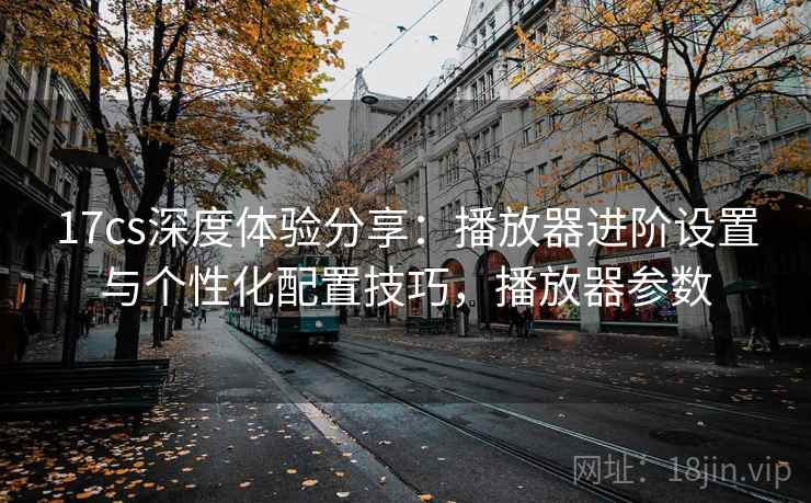 17cs深度体验分享：播放器进阶设置与个性化配置技巧，播放器参数