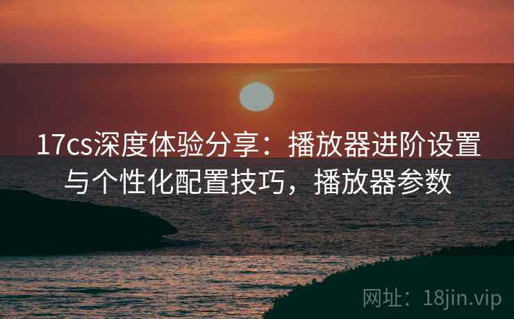 17cs深度体验分享：播放器进阶设置与个性化配置技巧，播放器参数