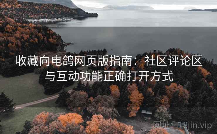 收藏向电鸽网页版指南：社区评论区与互动功能正确打开方式