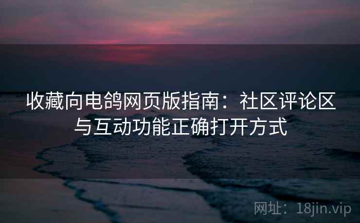 收藏向电鸽网页版指南：社区评论区与互动功能正确打开方式