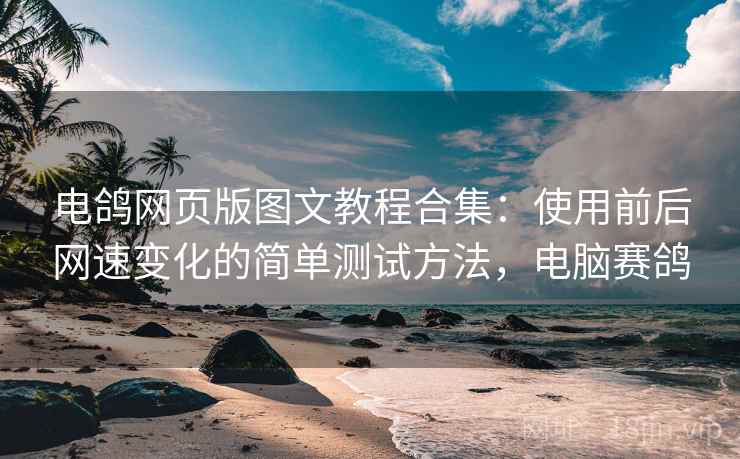 电鸽网页版图文教程合集:使用前后网速变化的简单测试方法,电脑赛鸽 电鸽网页版图文教程合集:使用前后网速变化的简单测试方法,电脑赛鸽